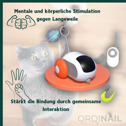 Drive Paw: Bringe Schwung ins Katzenspiel!