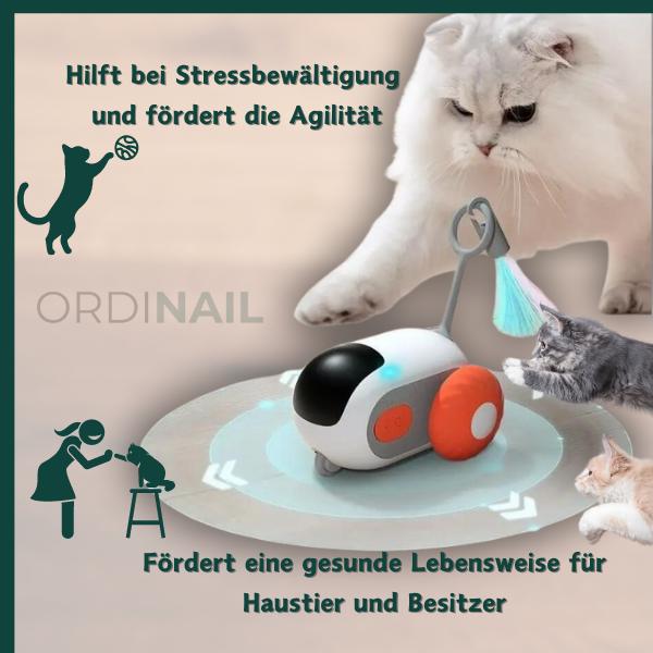 Drive Paw: Bringe Schwung ins Katzenspiel!