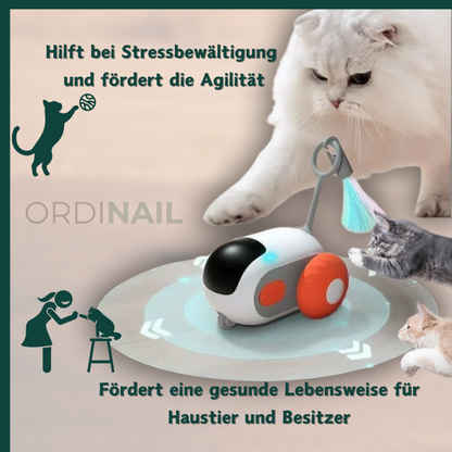 Drive Paw: Bringe Schwung ins Katzenspiel!