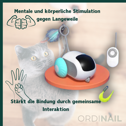 Drive Paw: Bringe Schwung ins Katzenspiel!